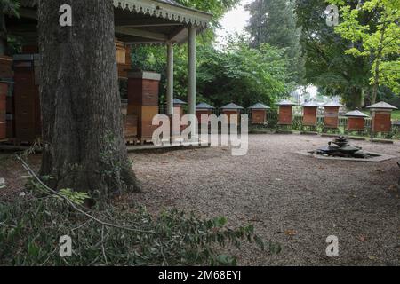 Alveari d'api nel Jardin Du Luxembourg di Parigi che aiutano a impollinare il frutteto lì Foto Stock