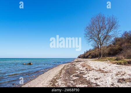 Spiaggia sulla costa del Mar Baltico sull'isola di Poel. Foto Stock