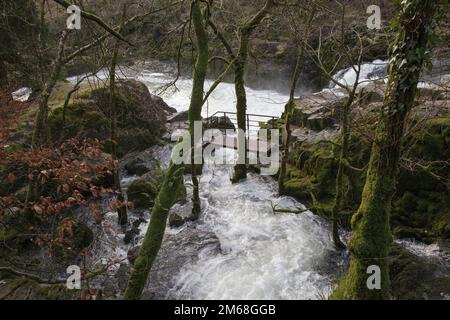 Il fiume Brathay cade sulle cascate Skelwith Force nel distretto dei laghi Foto Stock