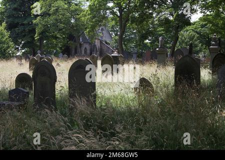 Il comune di Sunderland ha ampliato il proprio schema di divieto di taglio a parti dei propri cimitero per migliorare gli habitat per la fauna selvatica e per aiutare l'ambiente Foto Stock