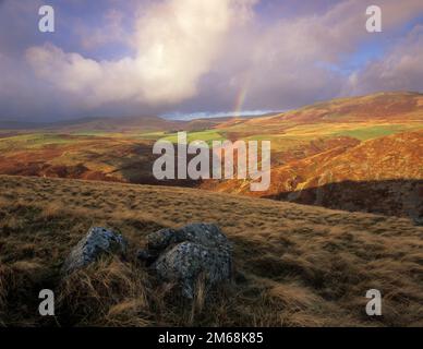 Guardando verso Linhope nelle colline Cheviot da Brough legge Hillfort, Northumberland Inghilterra Foto Stock