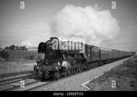 Volando Scotsman sulla linea ferroviaria di confine vicino Edimburgo. Mono Foto Stock