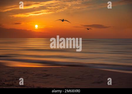 uccelli che volano verso il sole Foto Stock