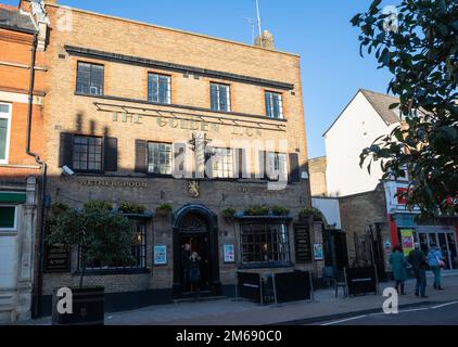 Il Leone d'oro a Newmarket, Suffolk, Regno Unito Foto Stock