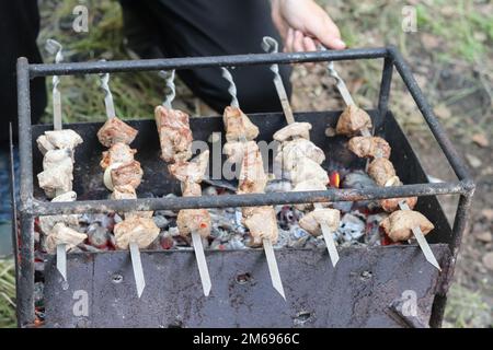 La carne sugli spiedini viene fritta sulla griglia. Foto Stock