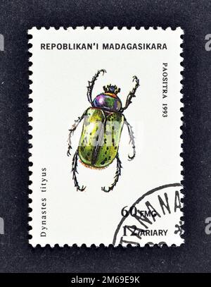 Francobollo annullato stampato dal Madagascar, che mostra Eastern Hercules Beetle (Dynastes tityus), circa 1994. Foto Stock
