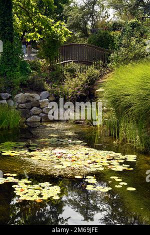 Schiltern, Austria - 08 agosto 2022: Kittenberger Adventure Garden un'oasi con innumerevoli piante, scene e luoghi d'avventura in bassa Austria Foto Stock