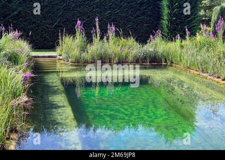 Schiltern, Austria - 08 agosto 2022: Piscina con fiori in Kittenberger avventura giardino un'oasi con innumerevoli piante, scene e luoghi di avventura in Foto Stock