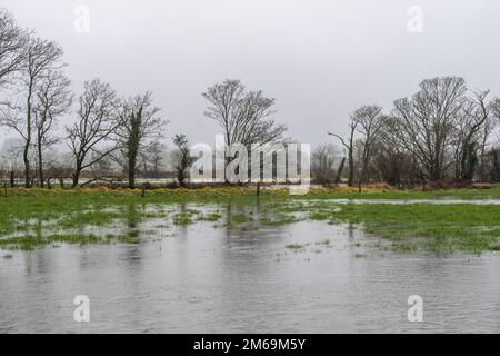 Clonakilty, West Cork, Irlanda. 3rd Jan, 2023. Dopo giorni di tempo relativamente secco, la pioggia torrenziale è caduta oggi su West Cork, causando alluvioni di punti. Il fiume Ilen ha scoppiato le sue rive vicino a Caheragh, causando campi di agricoltori a inondare. Credit: AG News/Alamy Live News Foto Stock