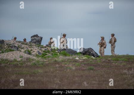 Joint Terminal Attack Controller e Fantry Marines assegnati al Battaglione 1st, 7th Marine Regiment, 1st Marine Division addestrato durante l'esercizio Garnet Rattler presso il principale Orchard Combat Training Center dell'Idaho e il Saylor Creek Ranges 11-29 aprile 2022. L'esercitazione è una missione congiunta fra i marines degli Stati Uniti, i soldati della Guardia Nazionale dell'esercito dell'Idaho, i 124th guardsmen dell'ala del combattimento e i 366th Airmen dell'ala del combattimento dalla base aerea domestica della montagna per addestrare e qualificare i JTAC marini per essere più efficienti e letali in un ambiente di addestramento realistico. Le gamme dell'Idaho supportano questo ambiente realistico. O Foto Stock