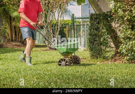 Uomo concimazione e semina prato residenziale con spanditore manuale di semi da prato. Foto Stock