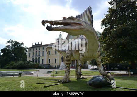 Modello a grandezza naturale del dinosauro Spinosauro, il più grande dinosauro predatore mai esistito e il primo dinosauro nuotatore esposto nei giardini pubblici. Foto Stock