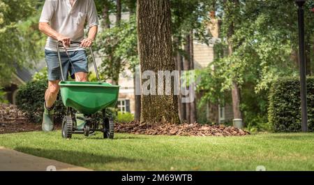 Uomo semina e fertilizzazione prato residenziale cortile con spanditore manuale semi da prato. Foto Stock