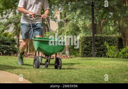 Uomo semina e fertilizzazione prato residenziale cortile con spanditore manuale semi da prato. Foto Stock