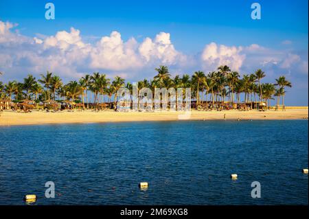 Spiaggia soleggiata con palme, ombrelloni e turisti a Salalah, Oman Foto Stock