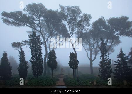 Klostergarten Randa de cura, Mallorca, Spagna Foto Stock