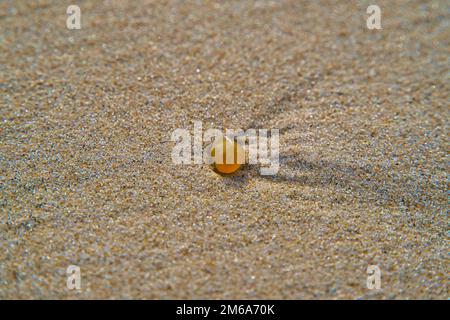 Pepite gialla ambrata sulla sabbia sullo sfondo naturale con ciottoli marini. Ambra trovato sulla spiaggia del Mar Baltico in autunno. Trovare il tesoro d'oro. Foto Stock