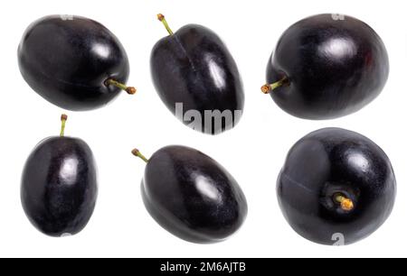 Prugne di raccolta isolate su sfondo bianco. Plum mezzo macro foto studio. Foto Stock