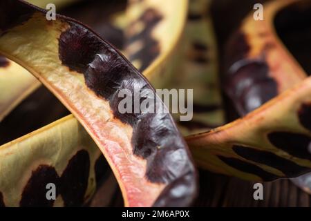 Semi di acacia su sfondo di legno. Primo piano. Foto Stock