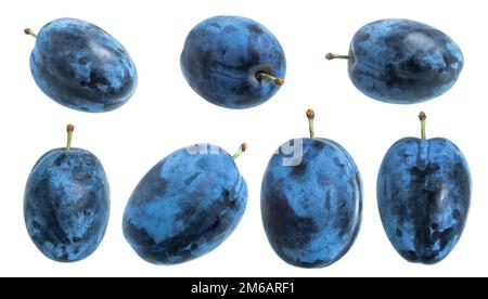 Prugne di raccolta isolate su sfondo bianco. Plum mezzo macro foto studio. Foto Stock
