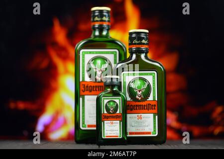 KIEV, UCRAINA - 4 MAGGIO 2022 Jagermeister bottiglia di alcol originale su tavolo di legno con camino rosso sullo sfondo. Produzione di alcool Elite Foto Stock
