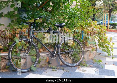 Biciclette parcheggiate all'aperto fissato alla recinzione sul vicolo lastricato in città in autunno Foto Stock