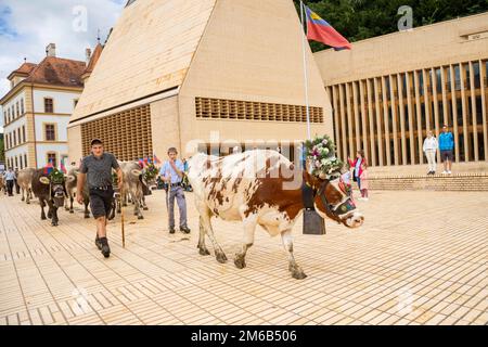 Alpabfahrt-Pradamee attraverso la Staedtle, Vaduz, Liechtenstein Foto Stock
