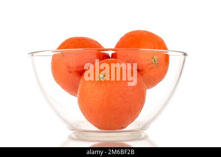 Tre tangerini organici dolci in un piatto di vetro, macro, isolati su fondo bianco. Foto Stock