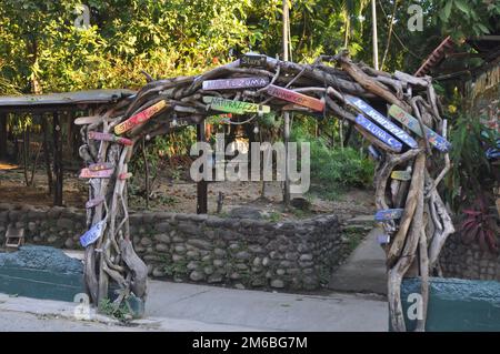 Driftwood Arch all'ingresso del parco Foto Stock