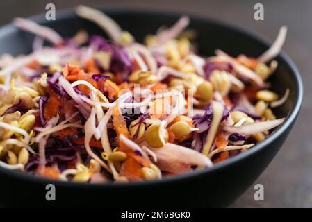 Coleslaw asiatico fatto in casa con lenticchie e carote germogliate. Foto Stock