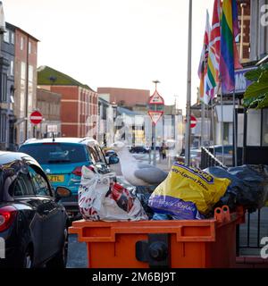 Gull spaving per cibo in rifiuti saltare in una strada del centro città Foto Stock