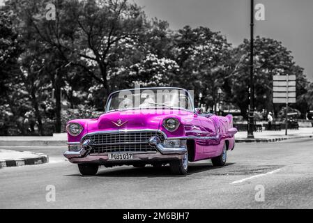 L'auto classica rosa Cabriolet guidò sul Malecon a l'Avana Cuba Foto Stock