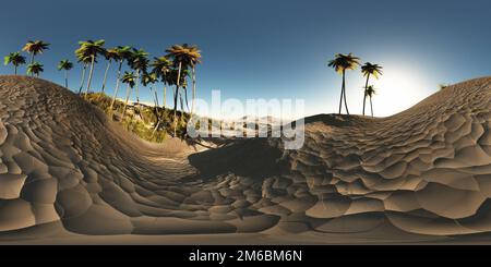 Panorama di palme nel deserto. realizzato con una telecamera a lente a 360 gradi senza cuciture. pronti per la realtà virtuale Foto Stock