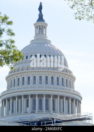 Cupola della US Capitol Building in Washington DC Foto Stock