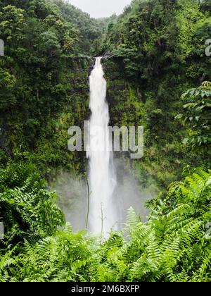 Akaka cade nelle Hawaii Foto Stock