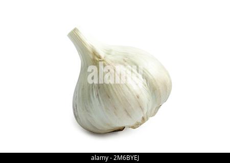 Bulbo testa di aglio isolato su sfondo bianco con ombra Foto Stock