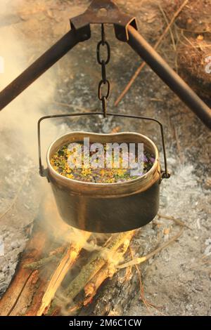 Cucinare mangiare in ciotola sul fuoco. Ora legale Foto Stock