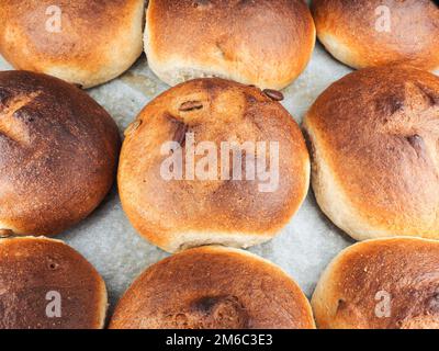 Panini di semi di zucca Foto Stock