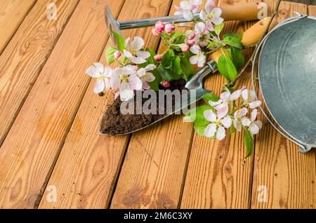 Ramo di fioritura apple e attrezzi da giardino su una superficie di legno, close-up Foto Stock