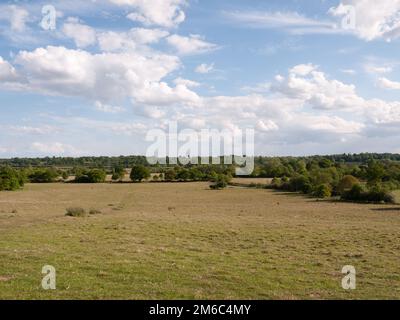 Un grande open bit di verde paesaggio di campagna con alberi in lontananza in una chiara e fresca estate pomeriggio giorno sereno e Foto Stock