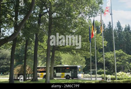 Hasselt, Limburgo, Belgio 16-07-2021. Autobus regolare (De Lijn) che passa attraverso un parco in Belgio, Fiandre Foto Stock