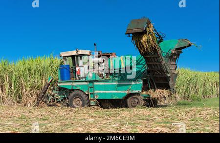 Raccolto di canna da zucchero sul campo con una mietitrebbia a Santa Clara Cuba - Serie Cuba Reportage Foto Stock