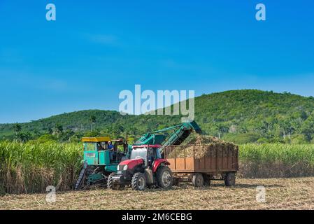 Raccolto di canna da zucchero sul campo con una mietitrebbia a Santa Clara Cuba - Serie Cuba Reportage Foto Stock