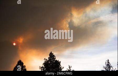 Il sole filtrò attraverso Smoke Rising Forest Wildfire Foto Stock