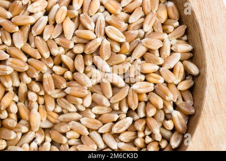 Perla Barley Perla legno intero di alimento di grano Ramikin Foto Stock