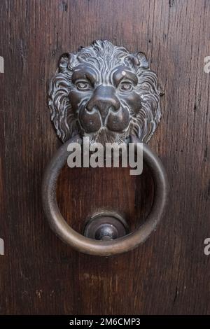 Vintage lion porta ugello respingente su una porta di legno. Foto Stock