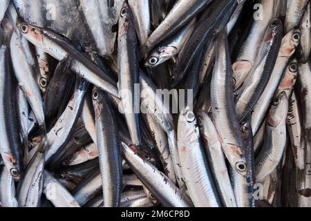 Acciughe fresche in un mercato di cibo biologico di strada. Foto Stock