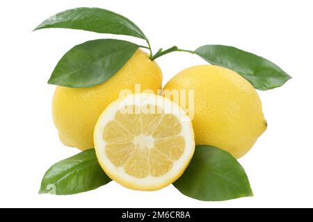 Limone frutta ritaglio isolato Foto Stock