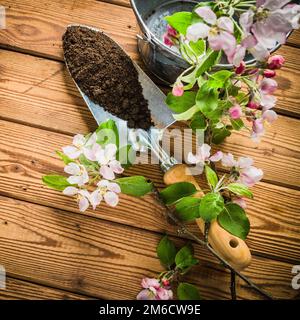 Ramo di fioritura apple e attrezzi da giardino su una superficie di legno, Foto Stock