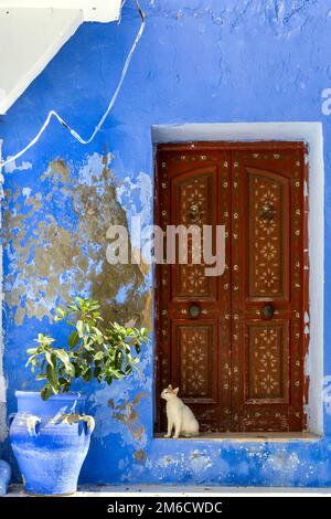 Gatto seduto di fronte alla porta decorata di una casa tradizionale in Tunisia Foto Stock